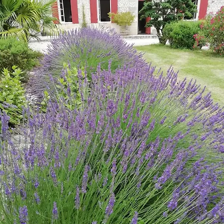 Bed & Breakfast Domaine Des Tonneaux