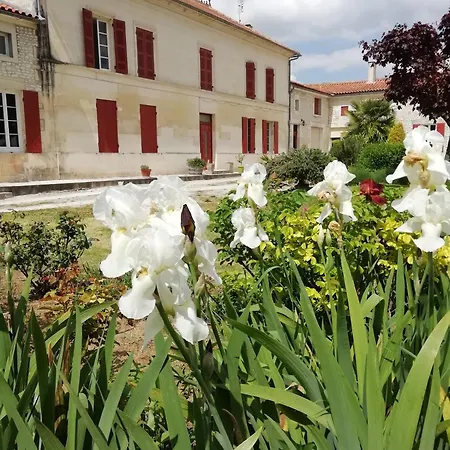 Domaine Des Tonneaux ベッド・アンド・ブレックファスト Jarnac-Champagne